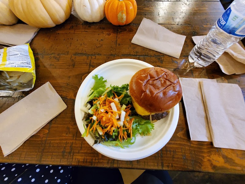 Sirphey in the Canyon photo 2