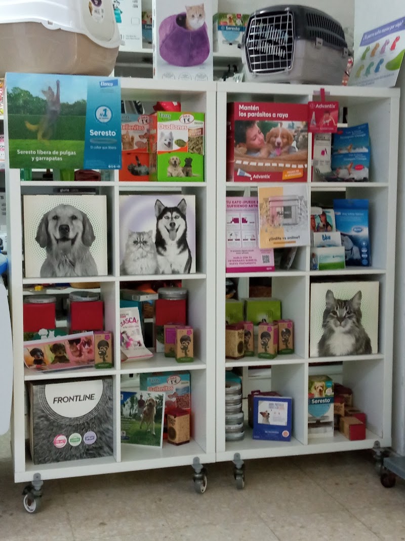 Clinica Veterinaria Peniche