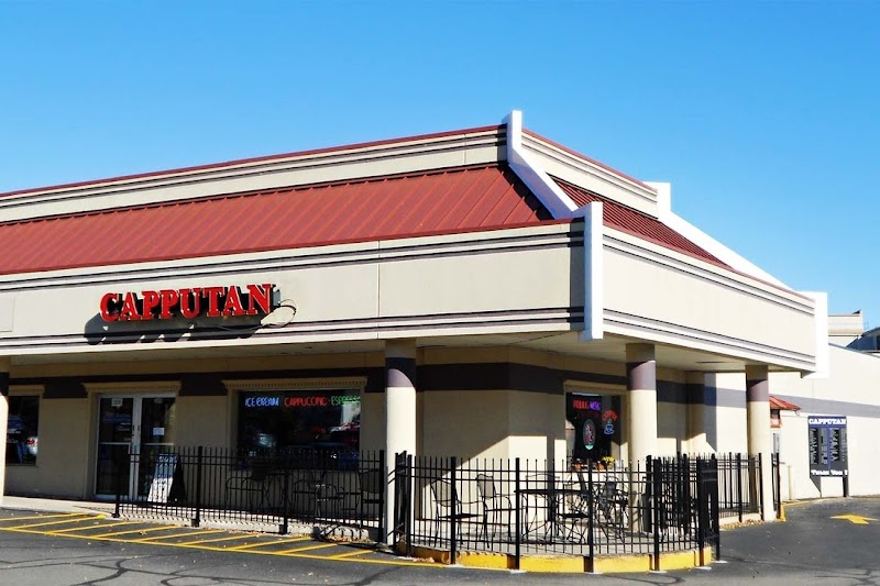 Capputan LLC photo 1