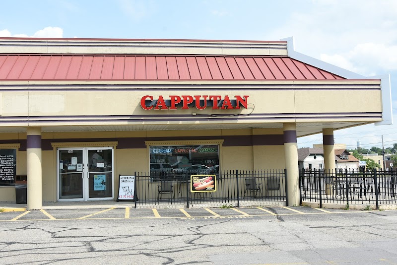 Capputan LLC photo 3