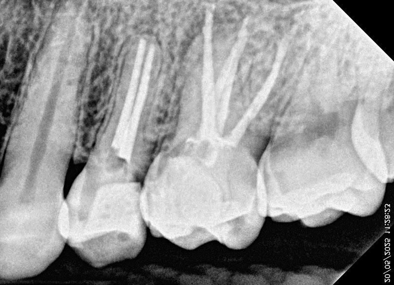 Dra Francieli Silveira - foto 4