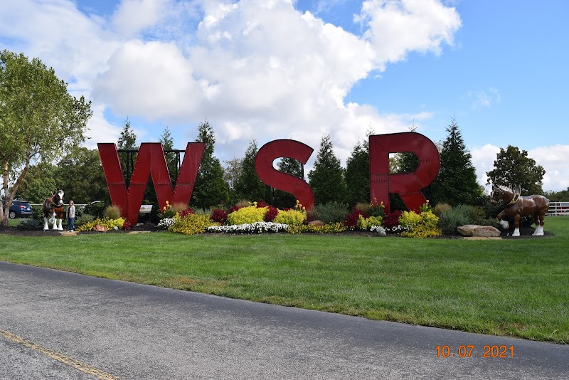 Warm Springs Ranch - Photo 3