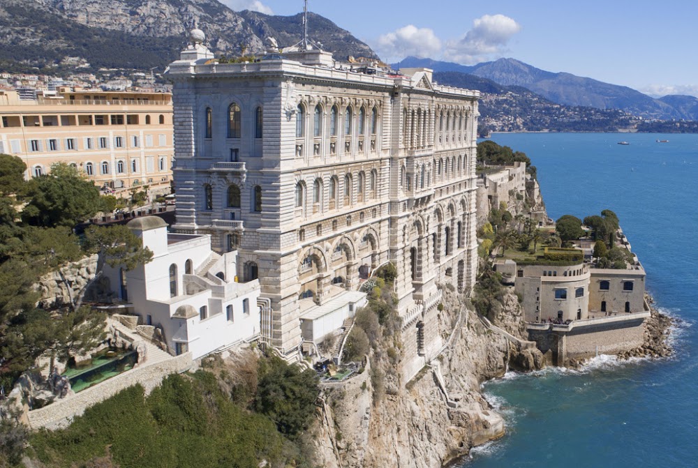 Musée océanographique de Monaco fotoğraf 1