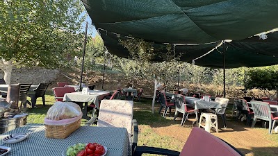 Nefis Bahçe - Kafe