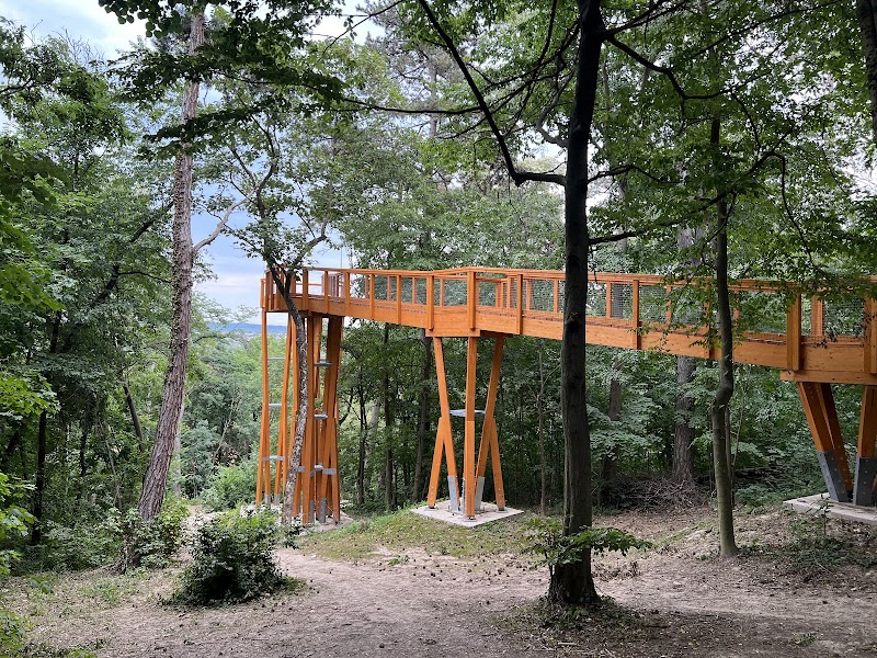 Tavirózsa tanösvény