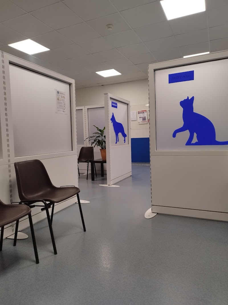 Hospital Veterinario Universidad de León