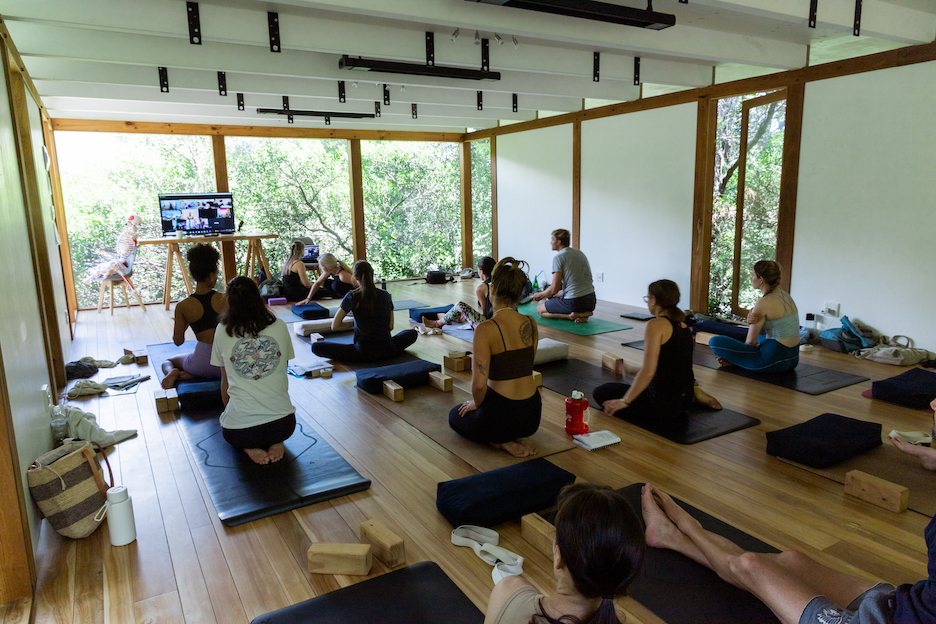 Wellness Connection Yoga — 4