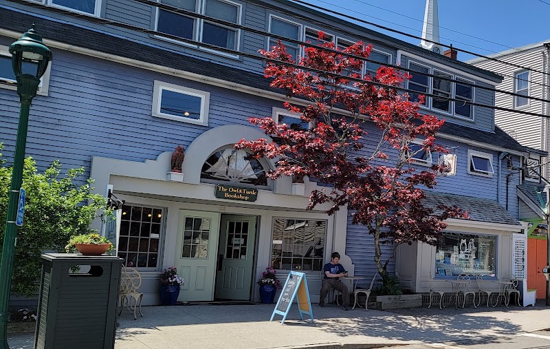 Owl & Turtle Bookshop Café photo 1