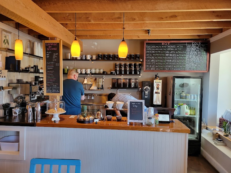 Owl & Turtle Bookshop Café photo 4