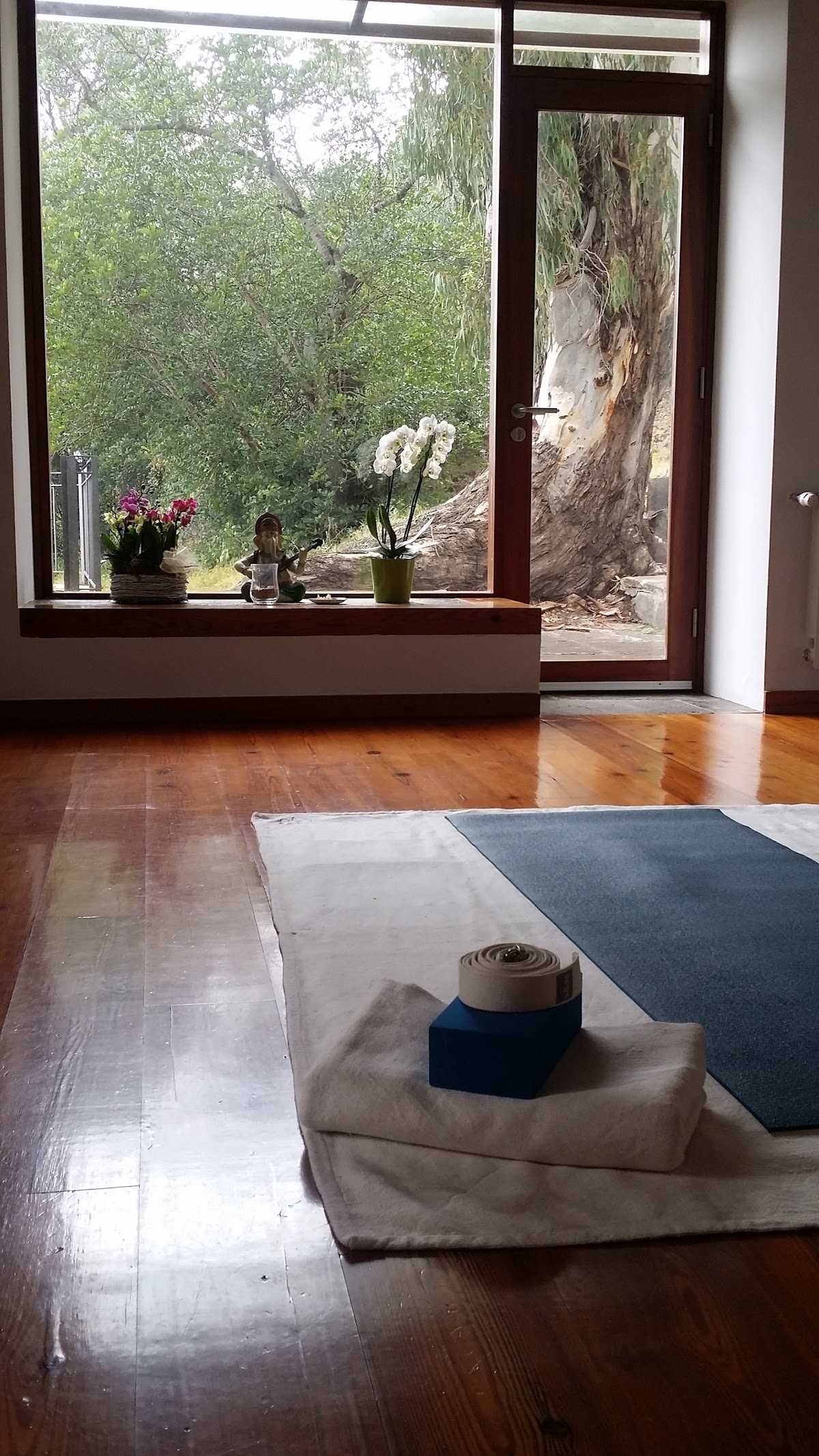 Escuela de Yoga, QiGong y Meditación, Shakti Time — 3