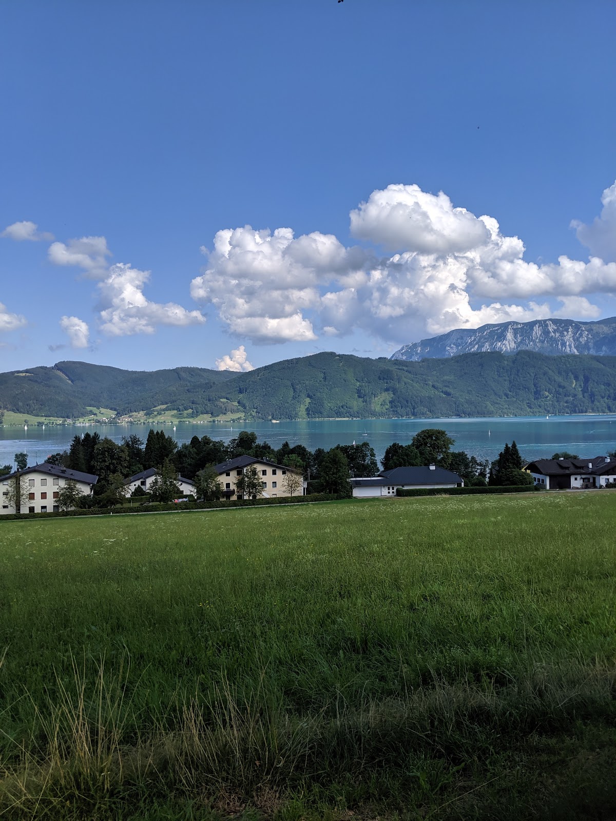 Aussichtsbank über Attersee