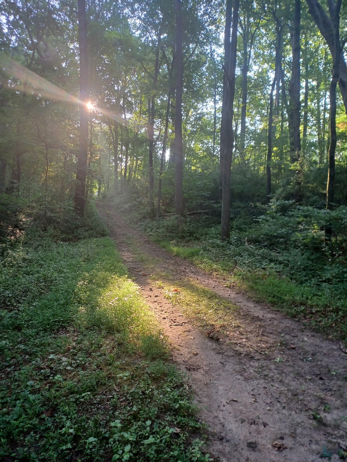 Hugg-Thomas Wildlife Management Area