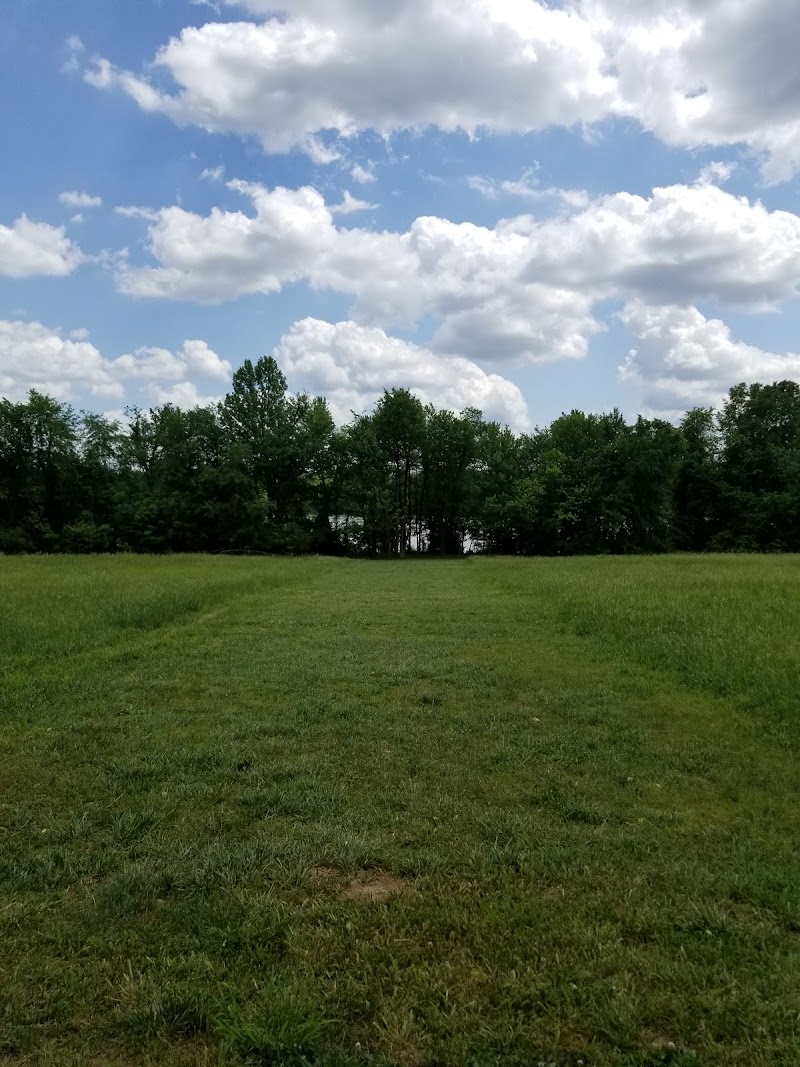 North Shore Disc Golf photo 3