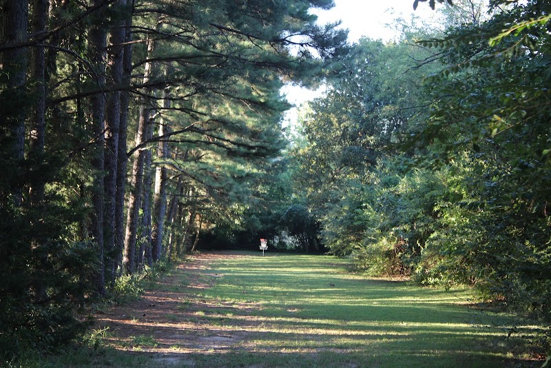 North Shore Disc Golf photo 2