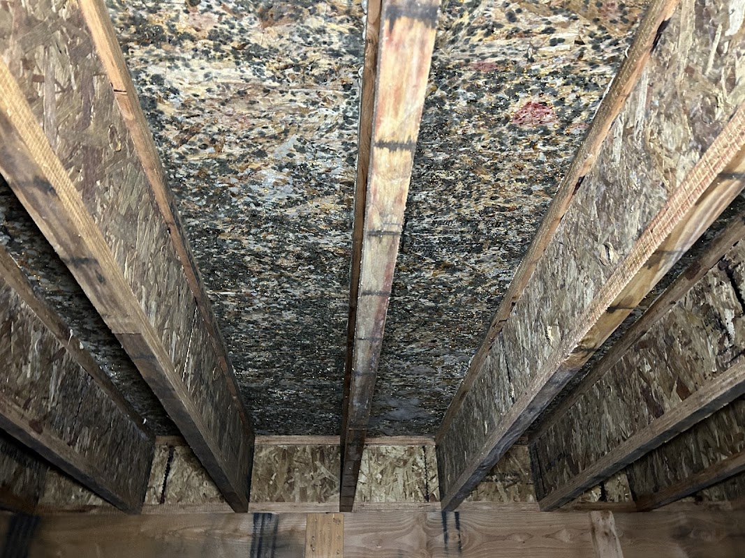 Mr. Mold LLC — photo