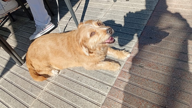 Clínica veterinaria Estrella