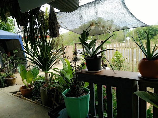 Burger Sun - Photo 1