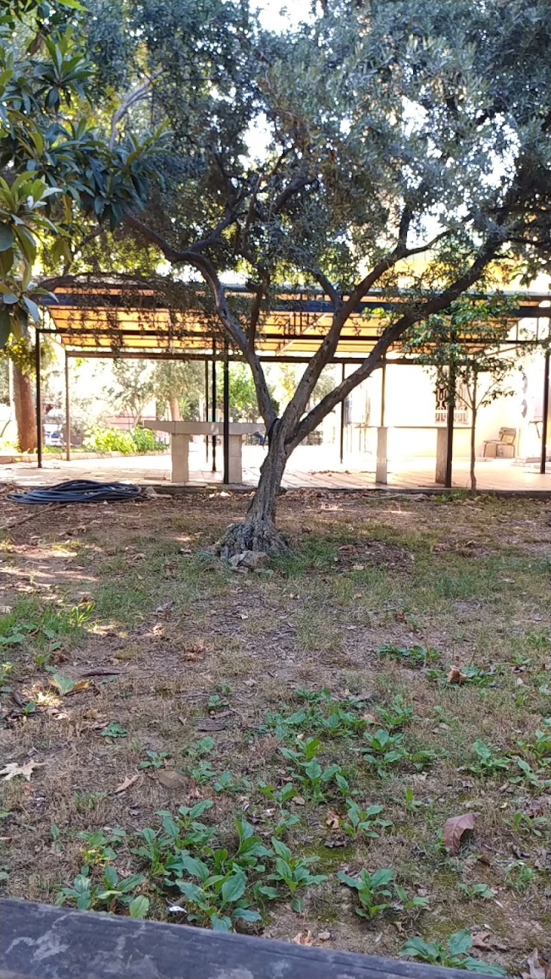 Molla Mehmet Camii photo 5