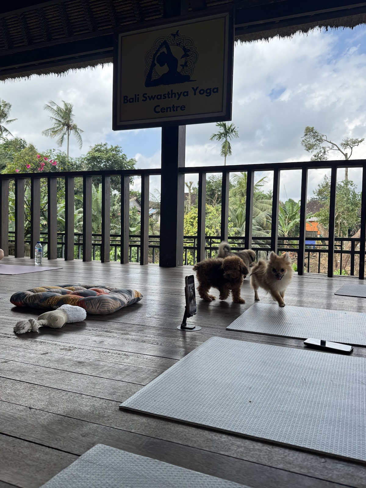 Happy Puppy Yoga Bali - Ubud — 4