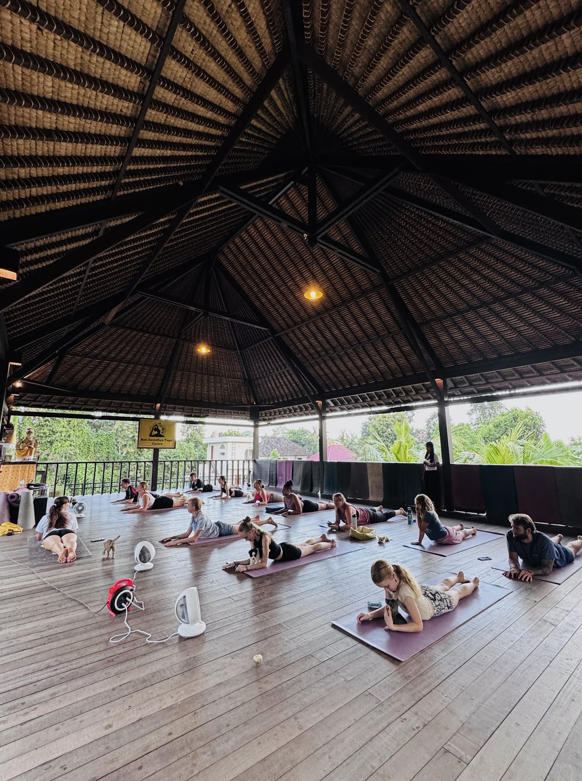 Happy Puppy Yoga Bali - Ubud — 3
