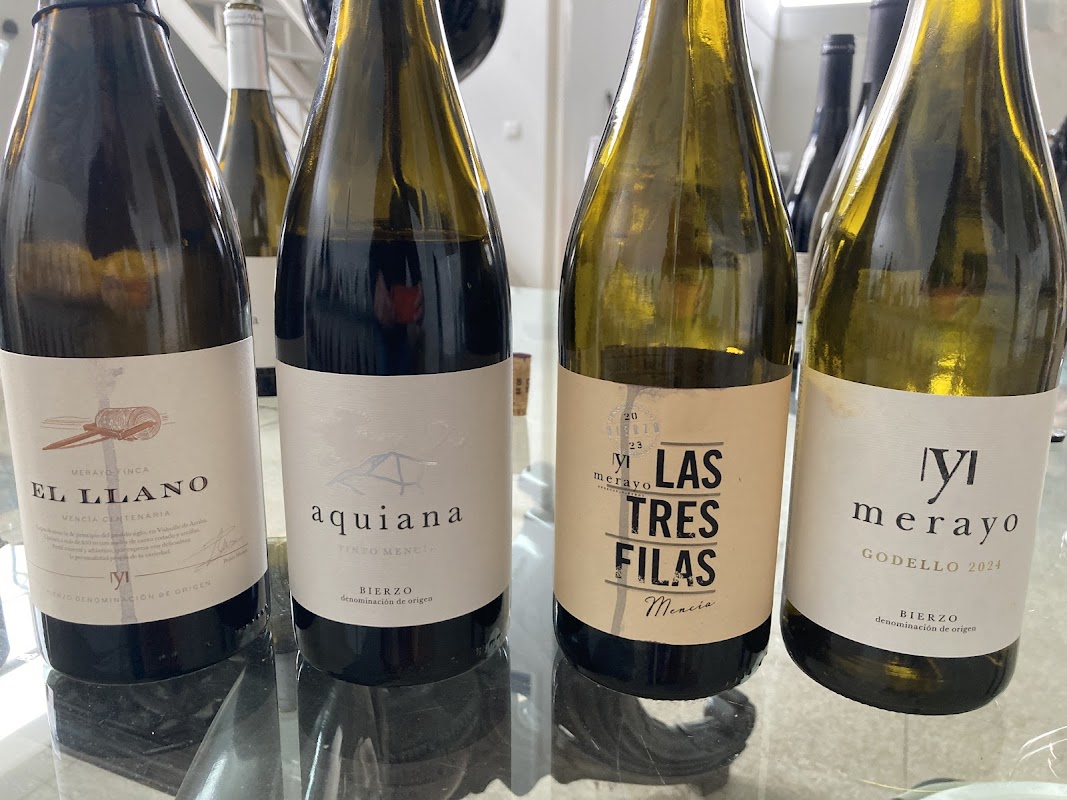 Bodegas y viñedos Merayo