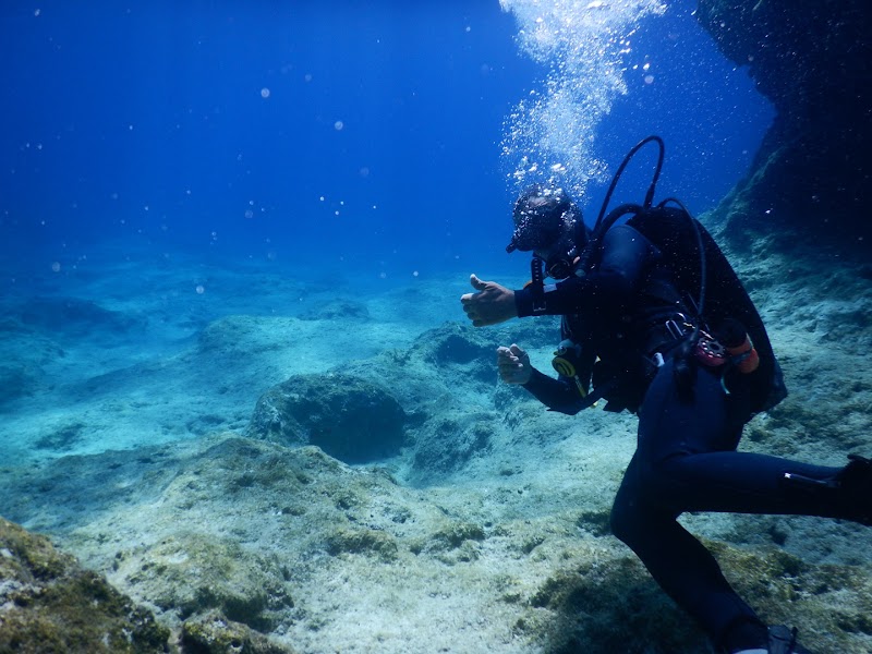 SEA U diving & private boat tours