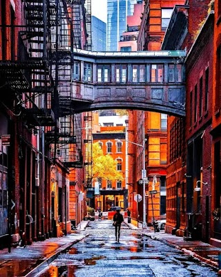 Staple Street Skybridge