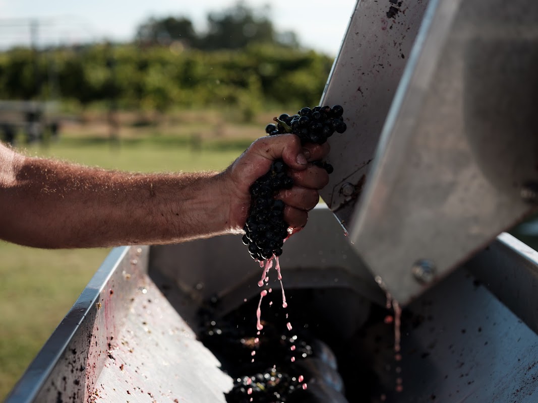 Bracco Bosca Winery