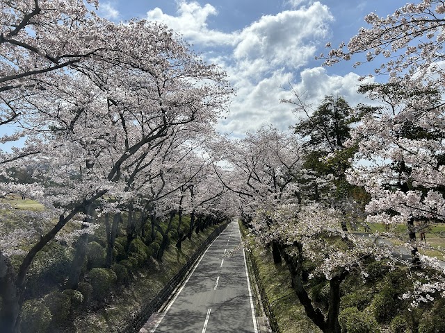 Kasugai Country Club - Photo 2