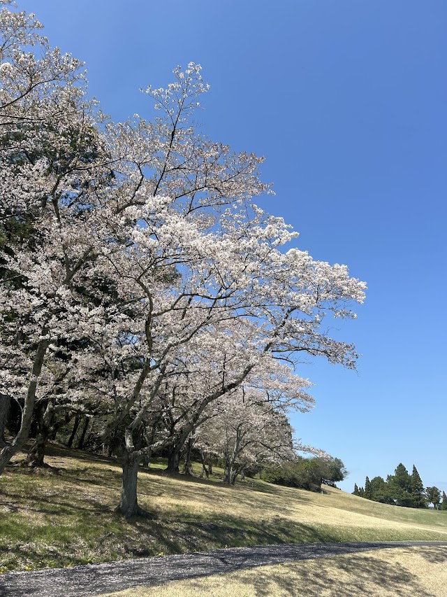 Kasugai Country Club - Photo 7