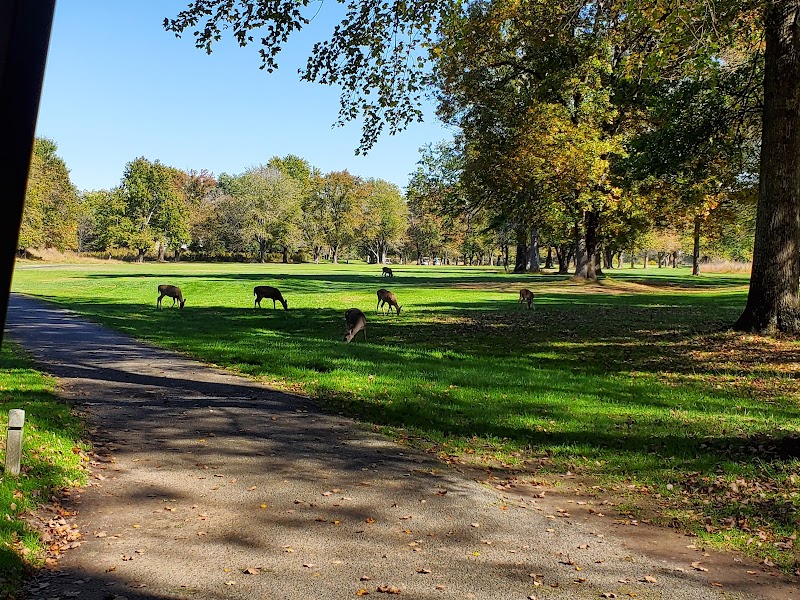 Algonkian Golf Course photo 4