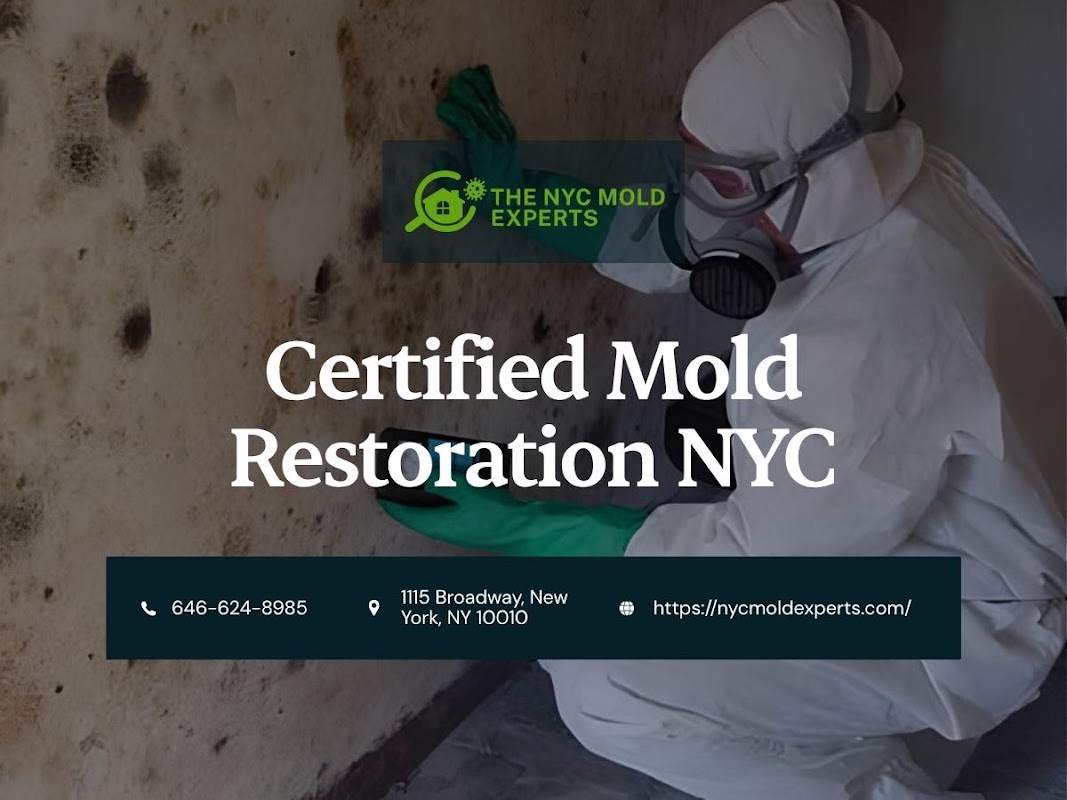 NYC Mold Experts — photo
