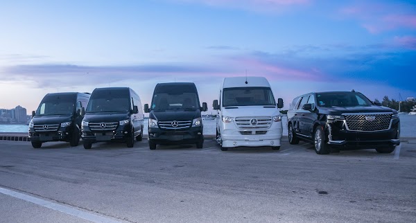 Aura Palm Limo portfolio
