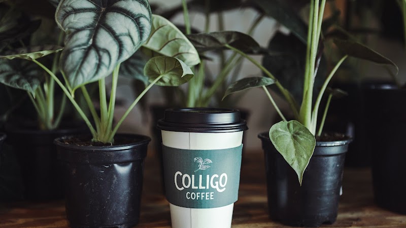 Colligo Coffee photo 4