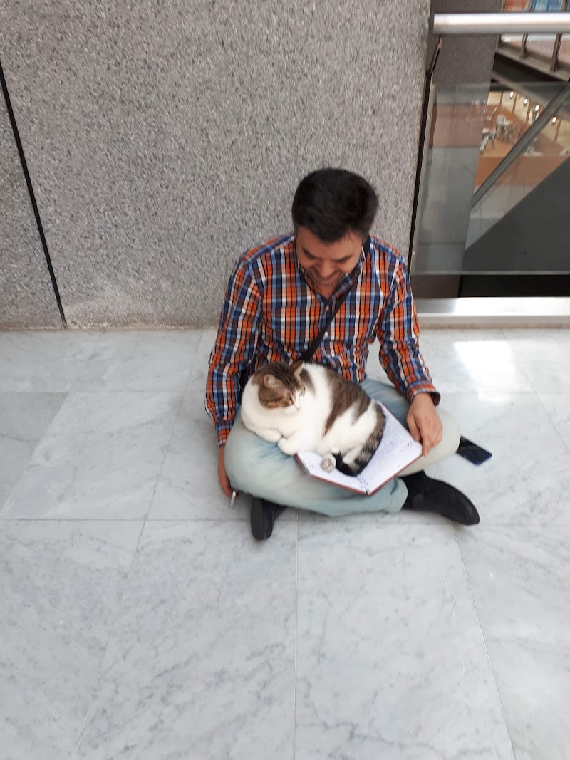 Centro Veterinario Area photo 4