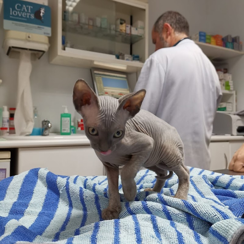 Centro Veterinario Area photo 2