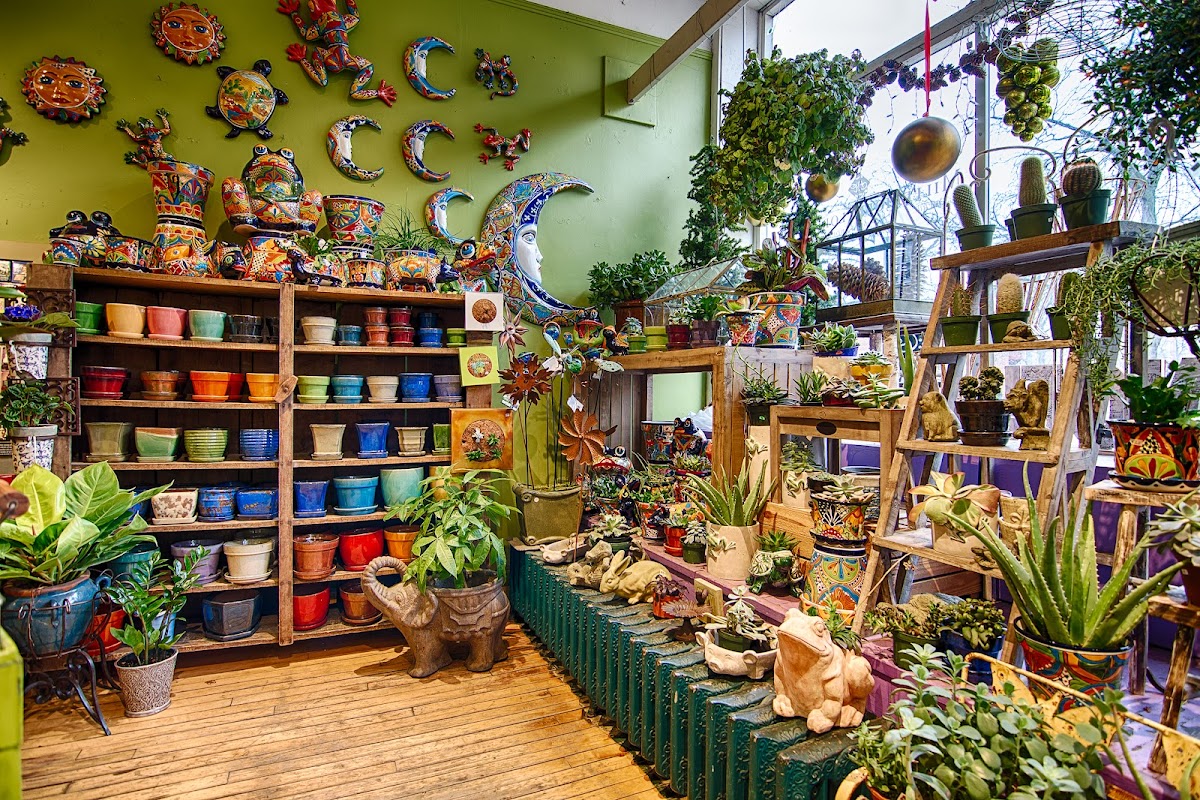 MilleFiori Florist Ltd: Google Places image 5