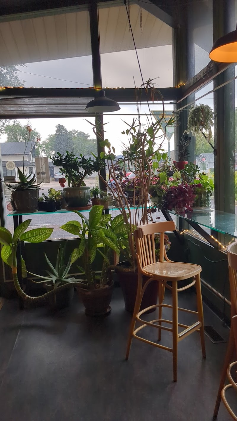 Mocha Madness photo 1