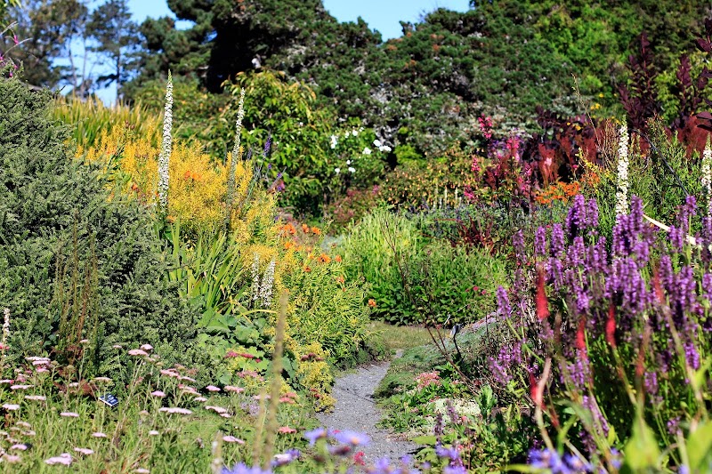 Mendocino Coast Botanical Gardens