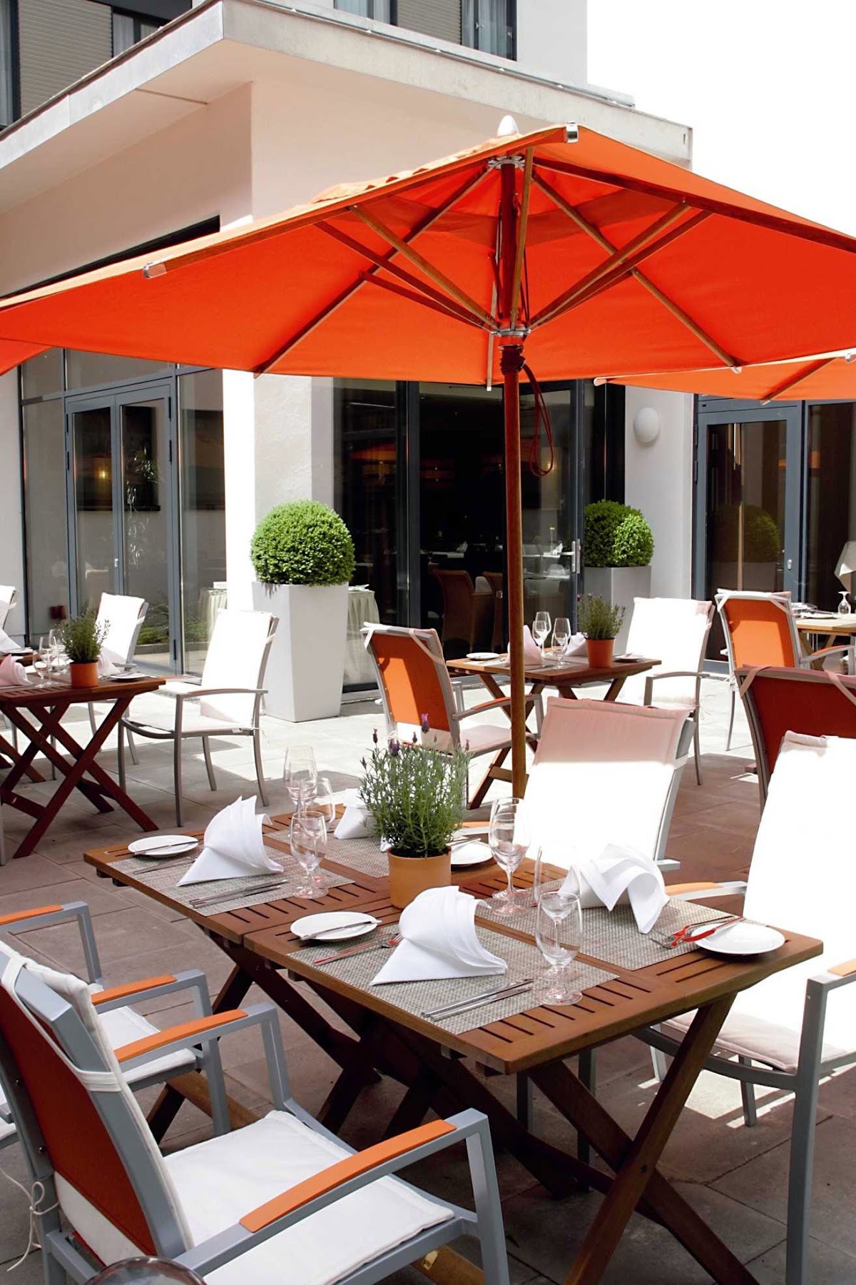 Lindner Hotel Hamburg Am Michel, dog-friendly hotel, photo 5