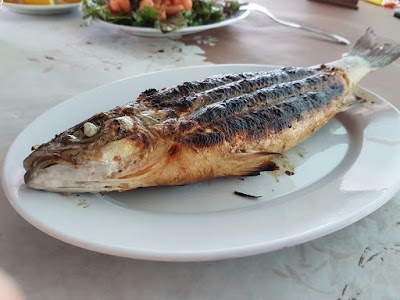 Şato Aile Restoran - Restoran