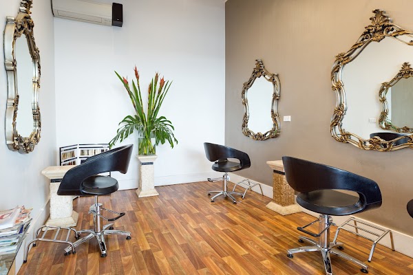 Absolute Hair Design photo 2