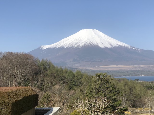 Fuji Golf Course - Photo 5