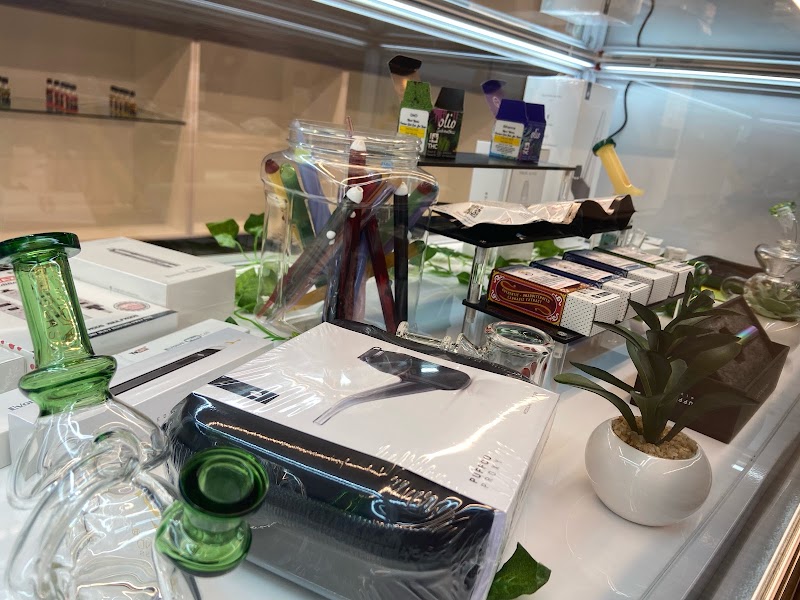 Video tour of Dreamz Dispensary - Medical & Recreational Marijuana Cannabis Dispensary Las Cruces, NM retail environment