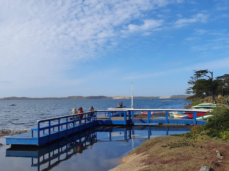 Nautical Bean photo 4