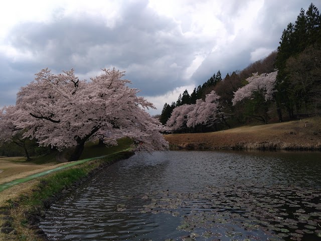 Zao Country Club - Photo 2