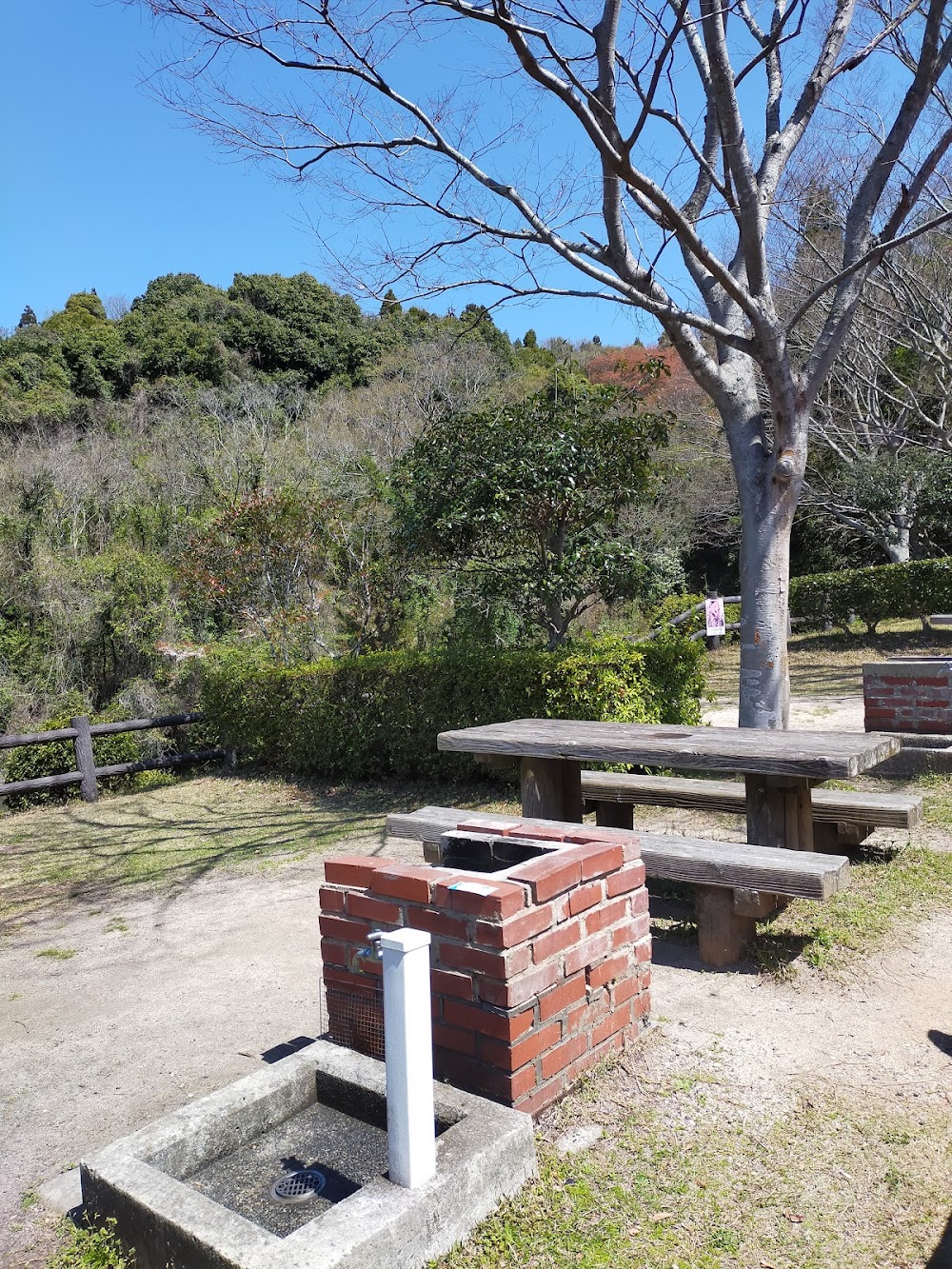 真道山森林公園キャンプ場