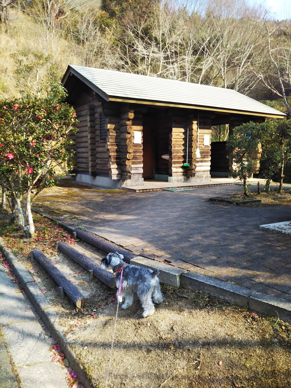 真道山森林公園キャンプ場
