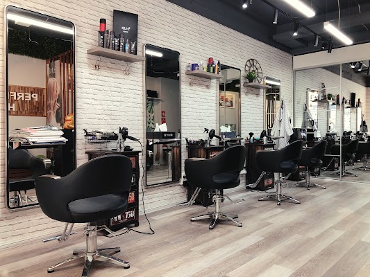 Perfect Hairdressing