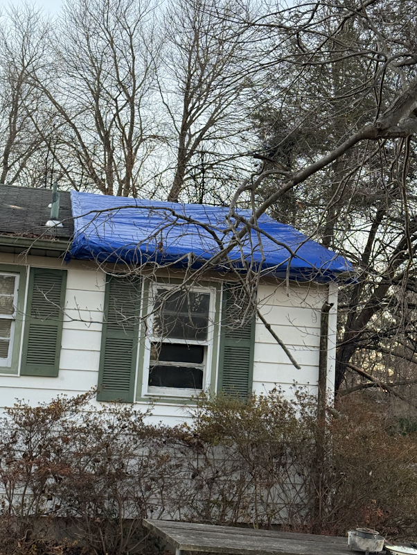 Restoration 1 of Central Maryland — photo